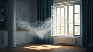 Musty Smells Need A Simple Home Reset