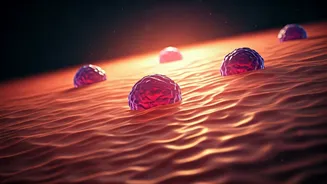 Promising Phase 2b Data for Atopic Dermatitis Treatment Revealed at AAD 2026