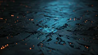 US Visa Tips for Indians: How to Navigate It