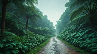 Monsoon Breaks Are The Off-Season Cheat Code