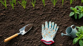 June Garden Prep Is Practical, Not Pretty