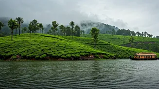 The Best Monsoon Experiences Across Kerala