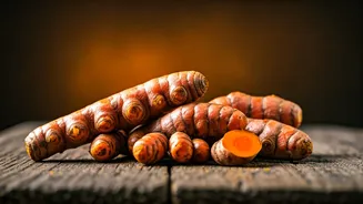 Turmeric Is The Useful Plant To Grow Now