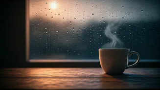 Cosy Spaces And Great Coffee Await This Monsoon