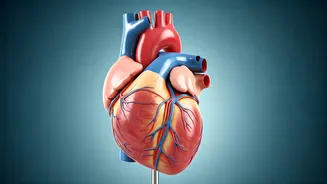 Sushmita Sen's Heart Health: A Survivor's Story