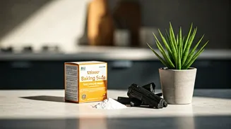 These Natural Ingredients Fight Damp Smells Effectively