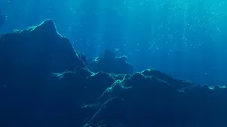 Pacific Trenches Mark Where the Ocean Basin Is Being Consumed