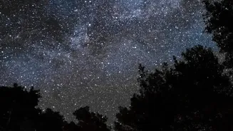 How Responsible Outdoor Lighting Could Protect Udmal’s Natural Night Sky