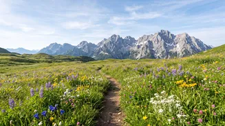 Why Hiking In Austria Means Alpine Flower Meadows You Will Love
