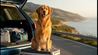 Pet-Friendly Travel Has Gone Mainstream, But Planning Still Decides Everything