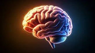 Unpacking the Essence of Well-being: A Guide