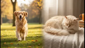 Dog Walks Or Cat Cuddles? Study Explores Different Stress Outcomes