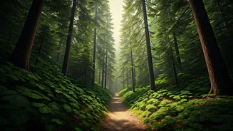 Green Getaways Are Winning Hearts