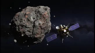 Hayabusa2's Torifune Asteroid Flyby: The Fresh Context behind Precision Navigation, Asteroid Science and Planetary-Defence Technology