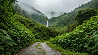 Skip Commercial Getaways For Rainy Season Blisses In Araku Valleys
