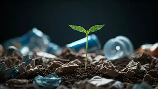 The Sustainable Habit Everyone Needs