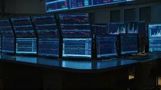 Navigating the Indian Stock Market: Trends, Risks & Opportunities