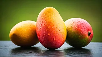 Zardalu, Himsagar, Banganapalli Enter The Mango Spotlight