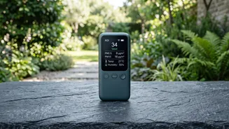 Adapting Outdoor Workouts For Air Quality: Essential Advice For Setting Safe Fitness Goals