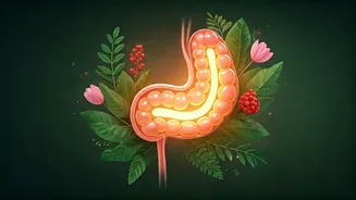 Hormone-Friendly Nutrition Is Winning Curious Wellness Crowds