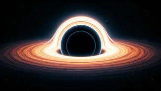 Unveiling the Cosmos: JWST's Discoveries on Black Holes