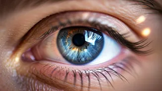 Shield Your Sight: Essential Tips to Combat Digital Eye Strain in Our Screen-Obsessed World