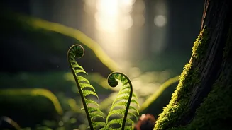 Gen Z Wants Quick Resets In Nature