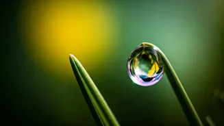 Avyukt: Unveiling Unique & Strong Names for April Babies