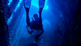 What Scientists Still Do Not Know About The Deep Ocean