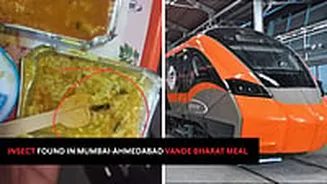 Disgusting! Insect Found In Meal Served On Mumbai-Ahmedabad Vande Bharat Express Train - PHOTOS