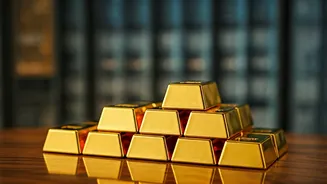 Unveiling India's Top Investment Choices