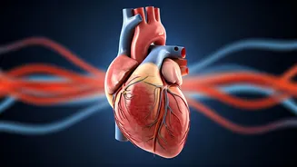 Unlocking Heart Health: 5 Drinks to Shield Your Arteries