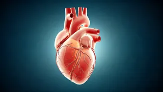 Spotting Heart Trouble: 6 Crucial Signs of Congenital Heart Disease in Babies