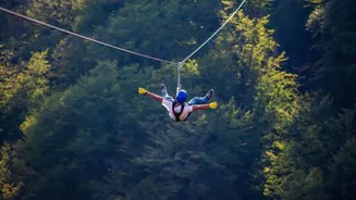 Ziplining enthusiasts, don't miss this forest adventure