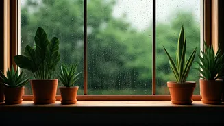 These Monsoon Home Habits Actually Help