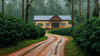 Coorg Homestays Are Tempting, But Check Roads