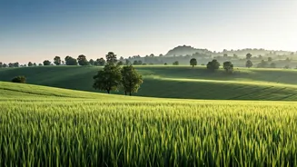 North India's Cool Climate Is Winning Hearts Again