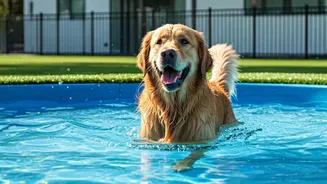 Premium Pet Boarding Featuring Splash Pools Sells Out This Weekend