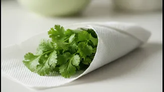 How To Wrap Fresh Garden Coriander In Paper Linens To Extend Rainy-Season Shelf Life