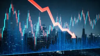 Lenskart's IPO Stumbles: What Happened?