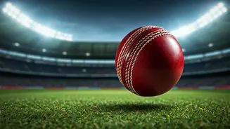 Exploring Live TV: What You Need To Know