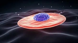 Daily Hygiene: Your Skin's First Line of Defense Against Infections and Health Risks