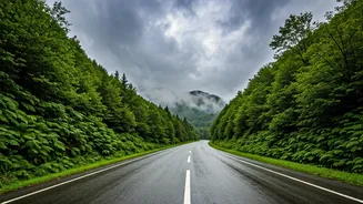 Every Nature Lover Needs This Rainy Road Trip
