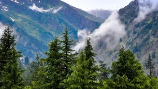 Quiet Green Stays In Himachal: Exploring Tirthan Valley And Shoja This Monsoon