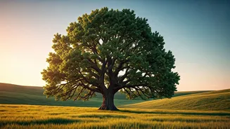 Real Wealth Takes Time To Grow