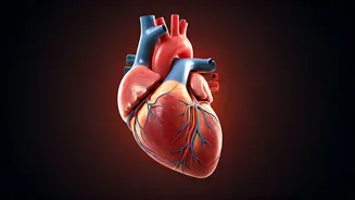 Boost Your Heart Health: Simple Tips