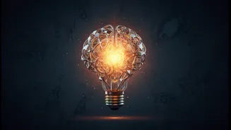 Students Need To Know Who Owns The Work They Create