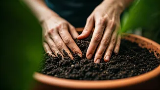 Plant Parents Should Touch Soil Before Watering