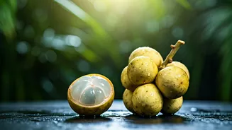 Related Stories banner