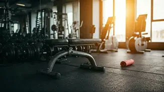 Shahid Kapoor's Fitness Secrets: A Peek Inside His Healthy Lifestyle